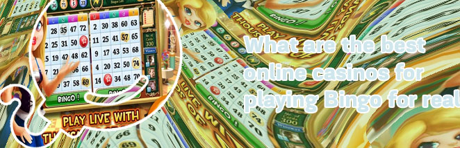 Live bingo casino