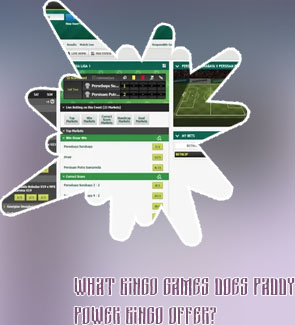 Login paddy power bingo
