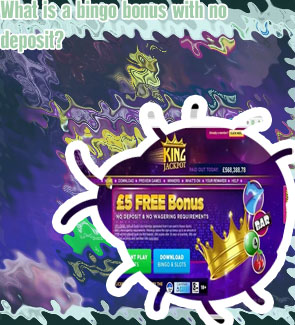 Online bingo free bonus no deposit