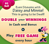 80 Ball House of Bingo Promotions